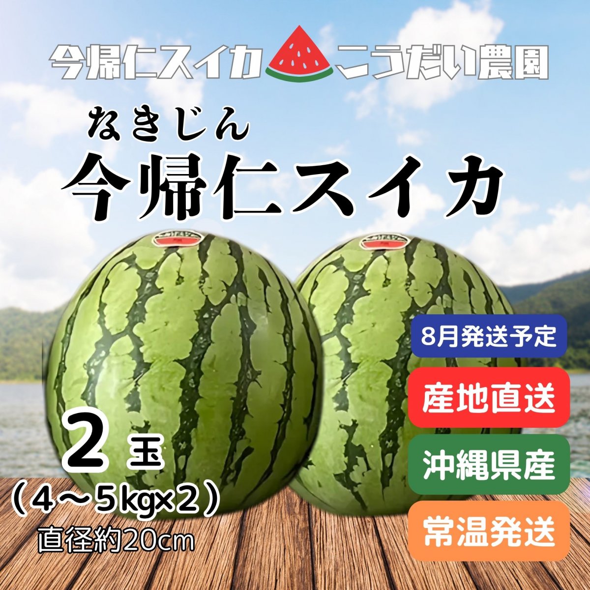 予約販売 | 種の少ないスイカ】沖縄産今帰仁スイカ2玉セット（4〜5kg