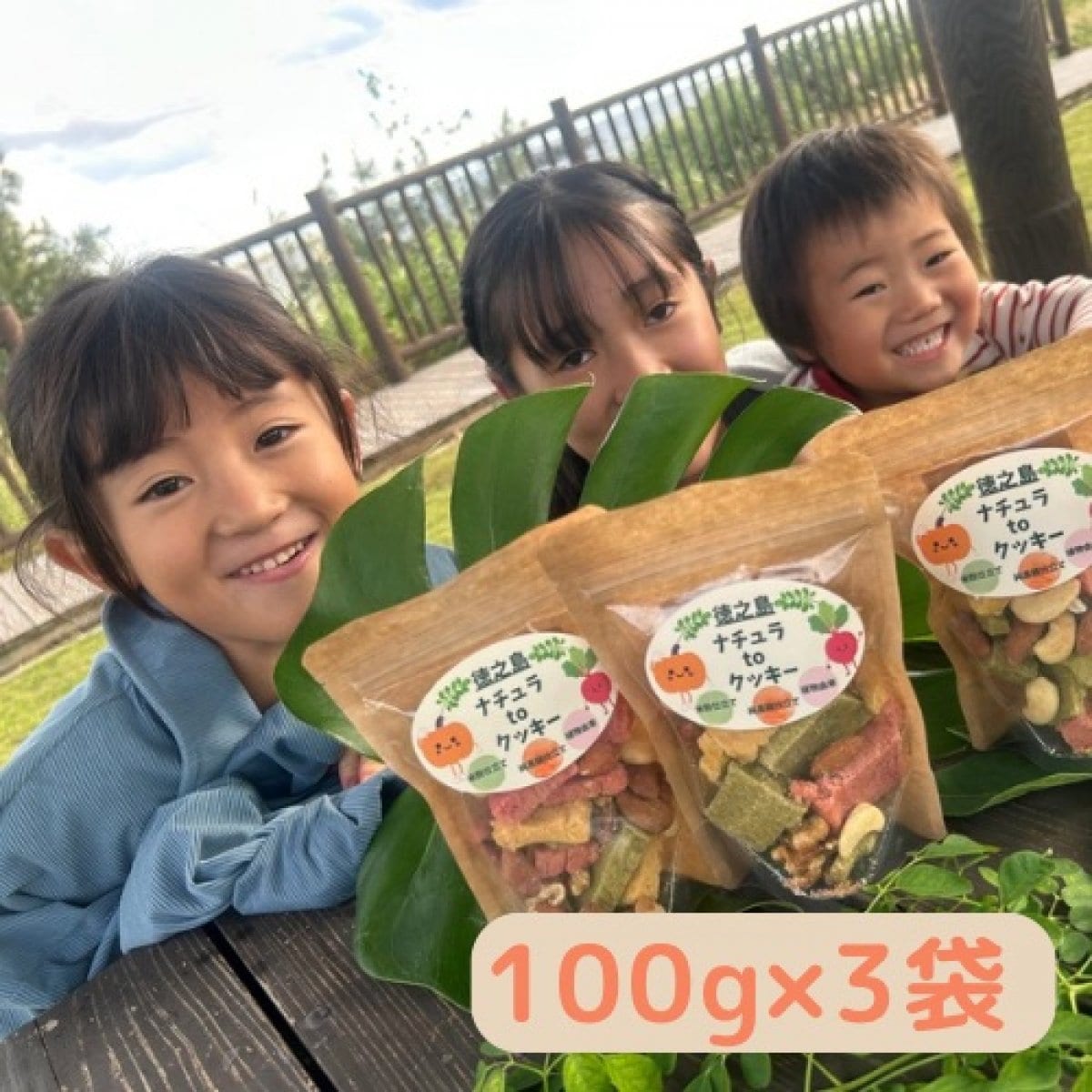 徳之島ナチュラtoクッキー/高ポイント100g×3袋