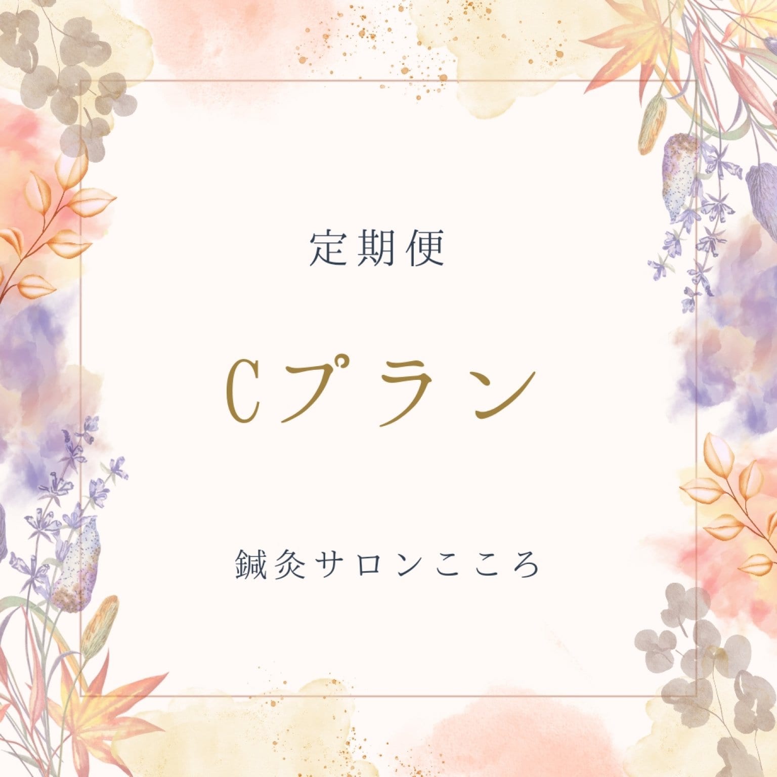 Cプラン