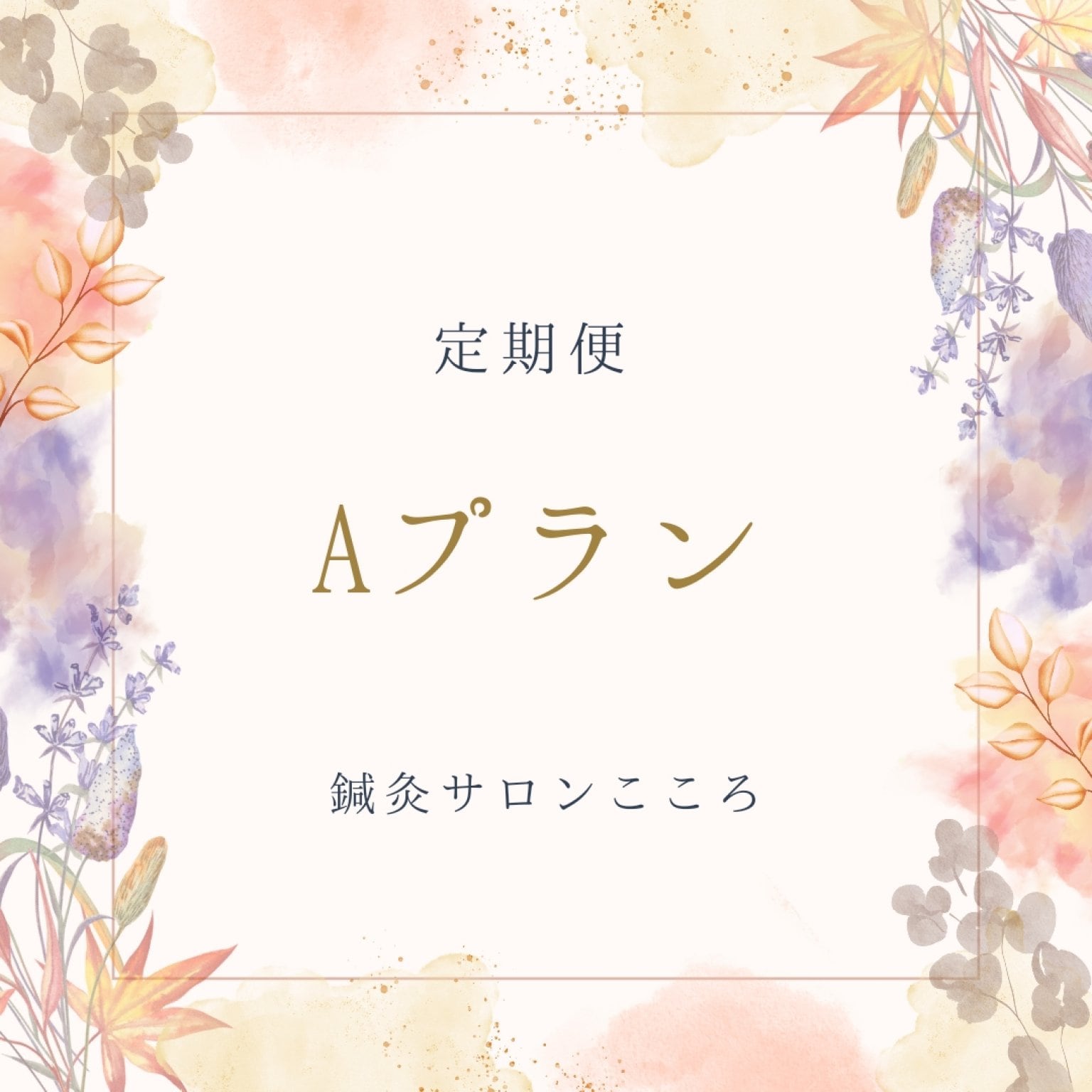 Aプラン
