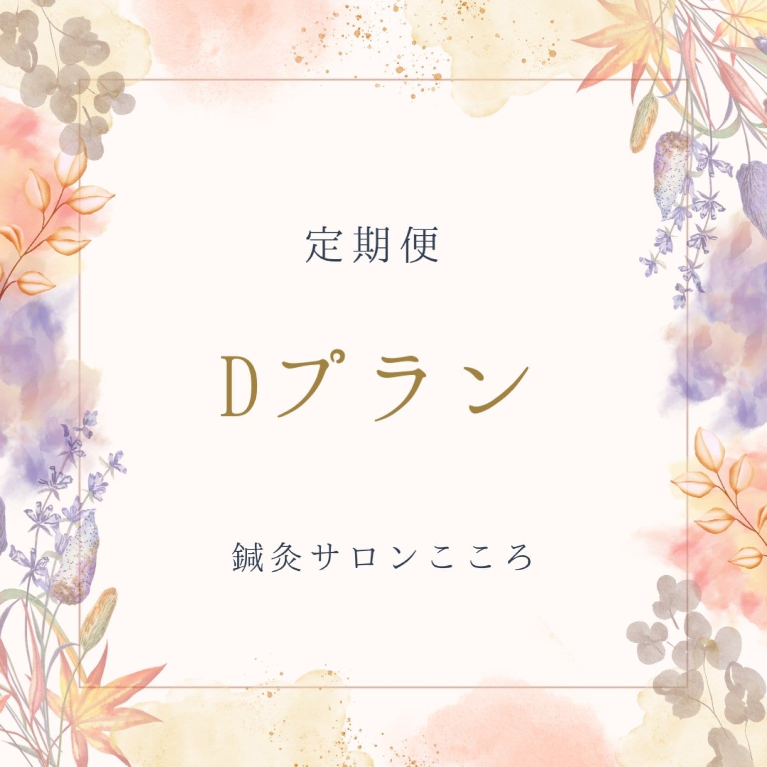 Dプラン