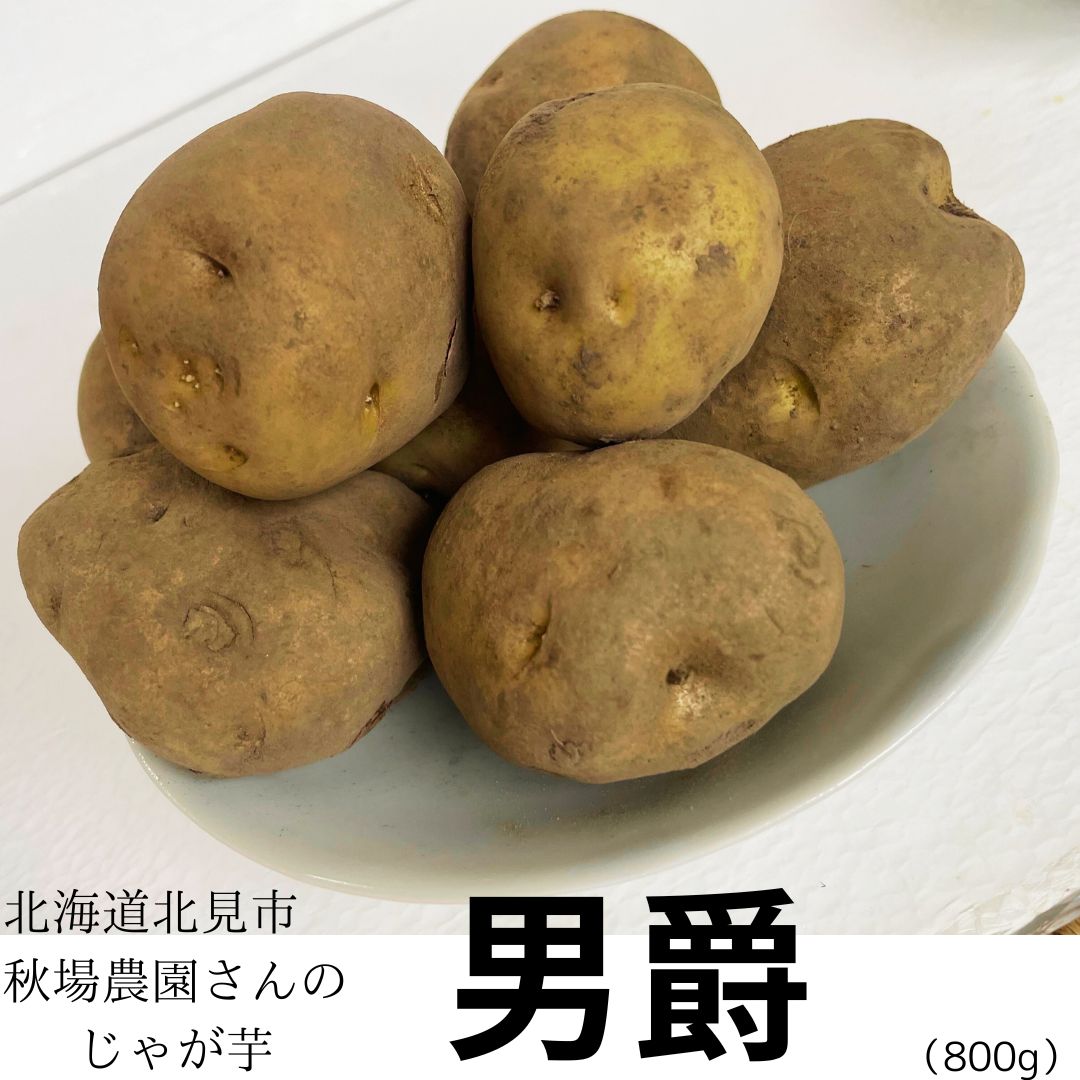 まえじゃが 北海道北見市・秋場農園】じゃがいも「男爵」 800g【無肥料自然栽培】