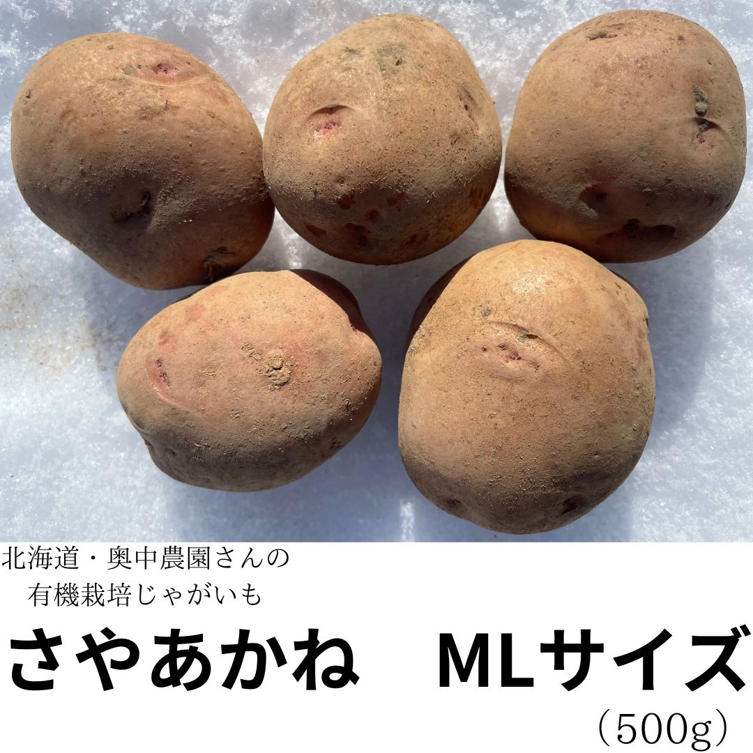 新ジャガ芋(サヤアカネ)　Mサイズ 新ジャガ芋(サヤアカネ) Mサイズ 新ジャガ芋(サヤアカネ) Mサイズ 新
