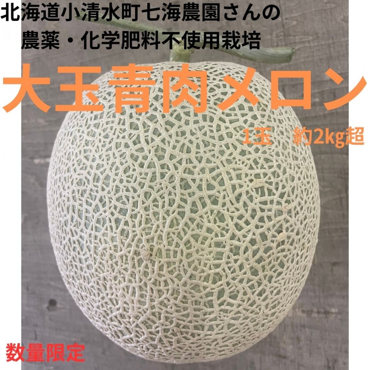 【北海道小清水町・七海農園】大玉青肉メロン　1玉約2㎏超【農薬・化学肥料不使用栽培】