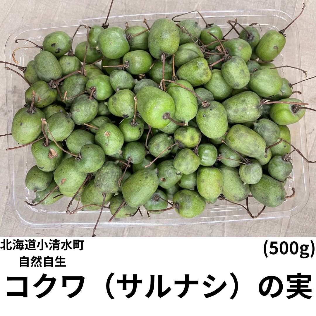 北海道 コクワ（サルナシ） コクワ（サルナシ）500g×1パック 北海道産こくわ 出荷時期：9月 : 旬を