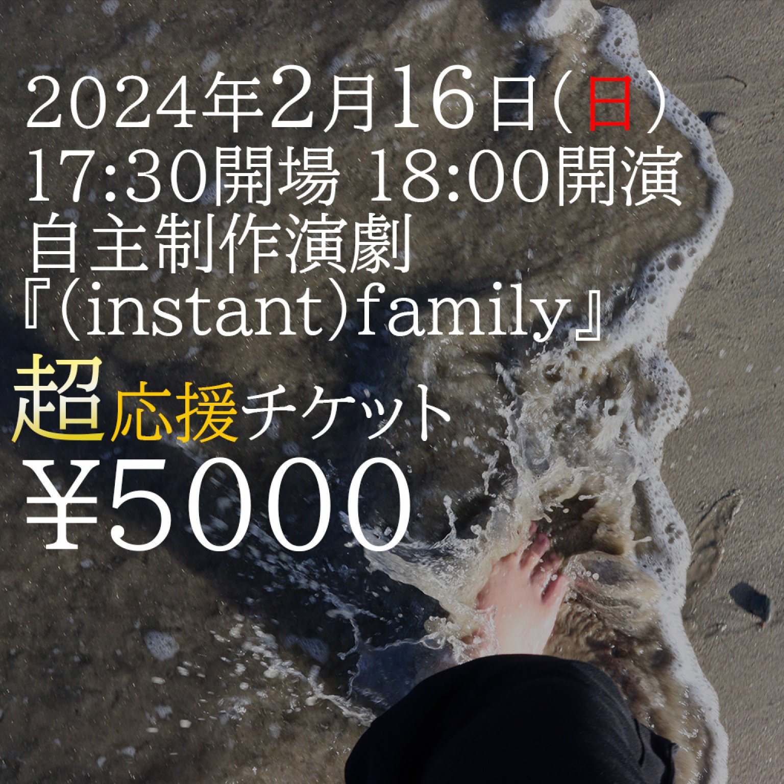 2月16日(日)17:30開場@JR東小金井|超！お気持ち応援チケット！自主制作演劇『(instant)family』公演チケット 
