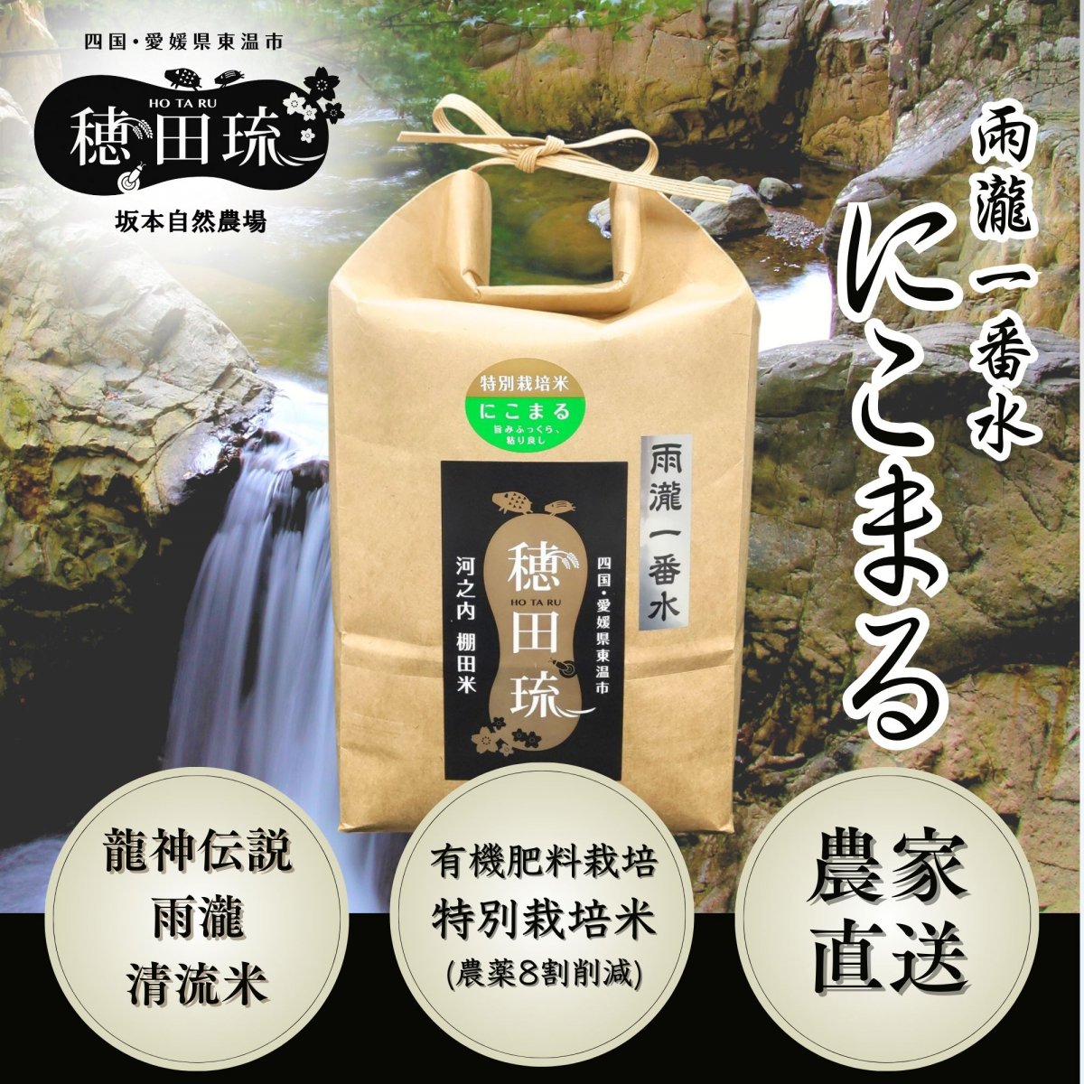 特別栽培・棚田米 美しい風景をつくる米/棚田米/自然栽培米(農薬・化学肥料不使用