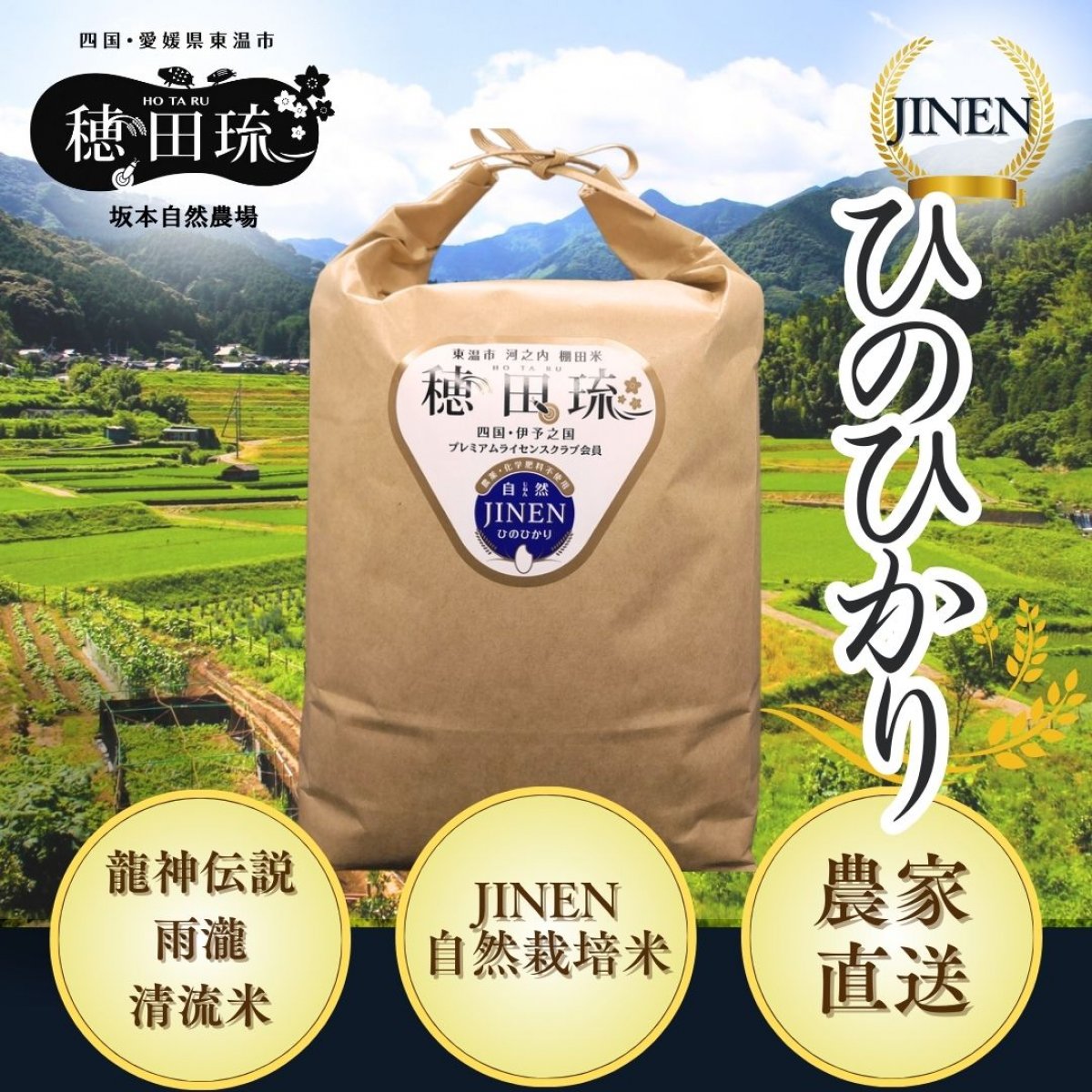 特別栽培・棚田米 楽天市場】【ふるさと納税】 【令和7年度産 新米 先行予約