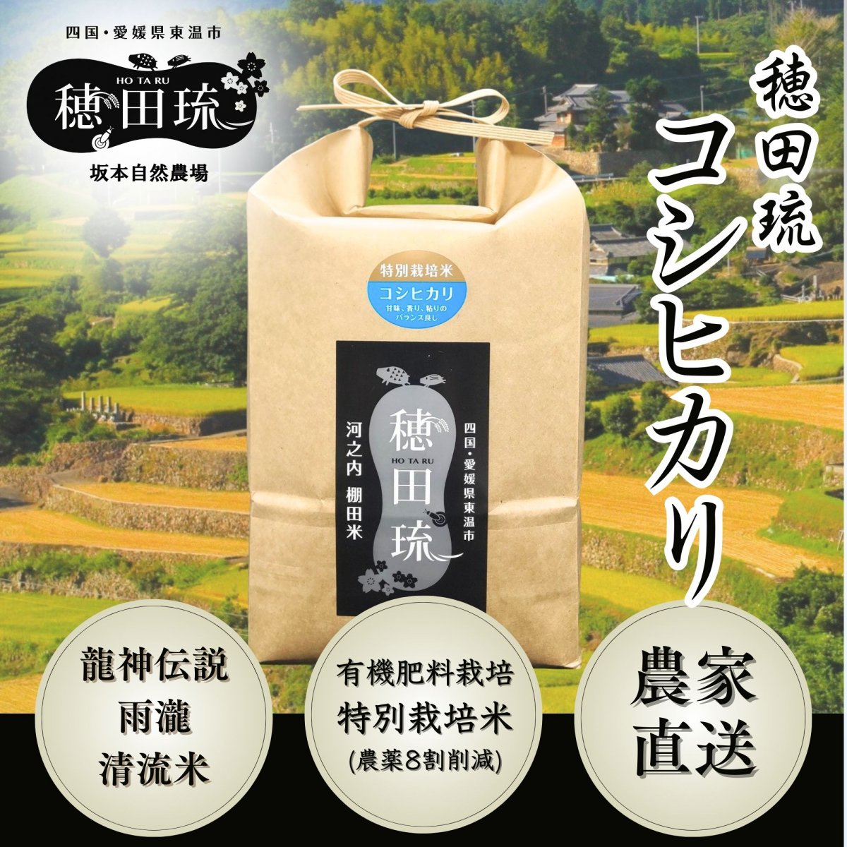 新潟県 特別栽培米 rin rin Amazon.co.jp: 特別栽培米 減農薬栽培米 しんのすけ 令和6年産