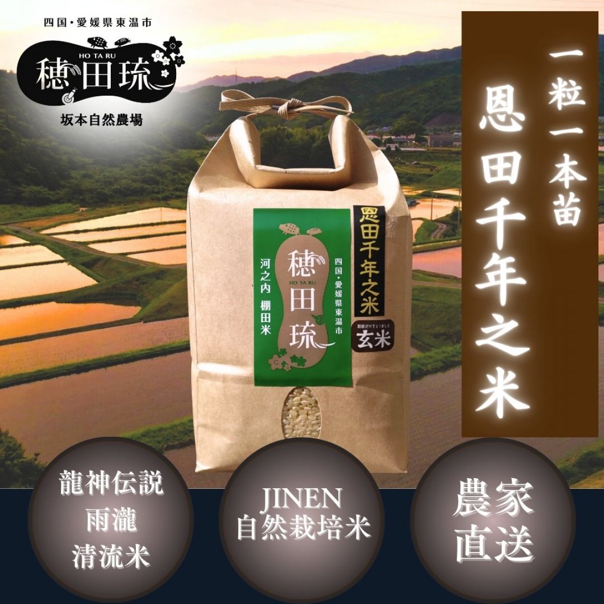 特別栽培・棚田米 美しい風景をつくる米/棚田米/自然栽培米(農薬・化学肥料不使用