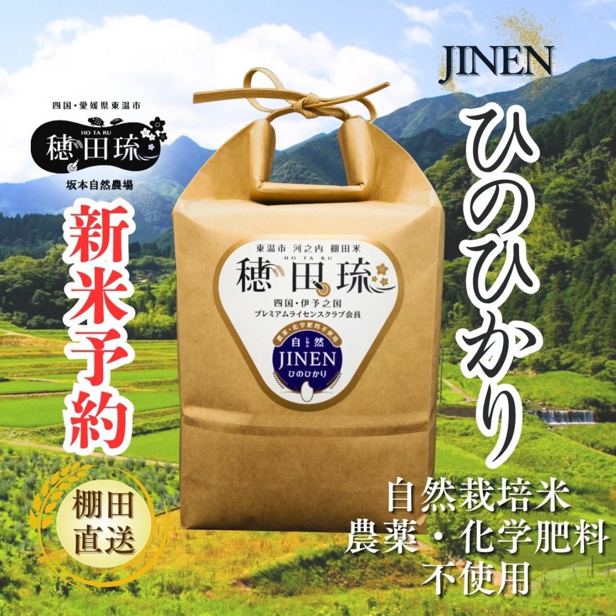 農家直売　令和2年度産新米ひのひかり20㎏ 農家直売 令和2年度産新米ひのひかり20㎏ 農家直売 令