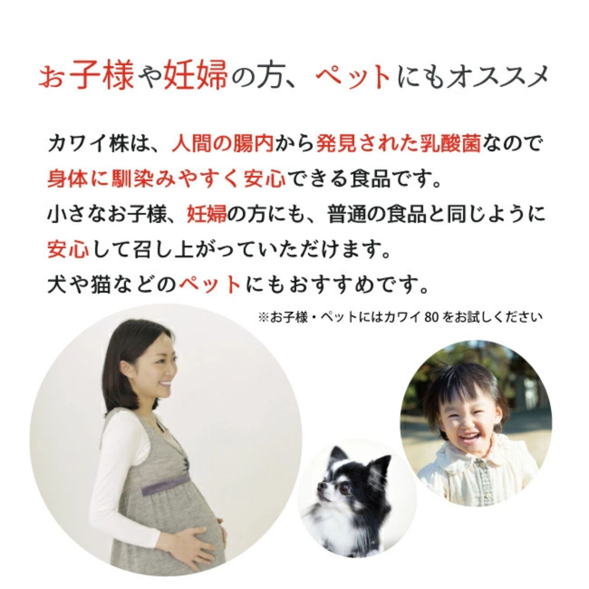乳酸菌カワイ株900と300  【17100円相当】 正規代理店】カワイ 乳酸菌 kawai カワイ 900 12箱 乳酸球菌