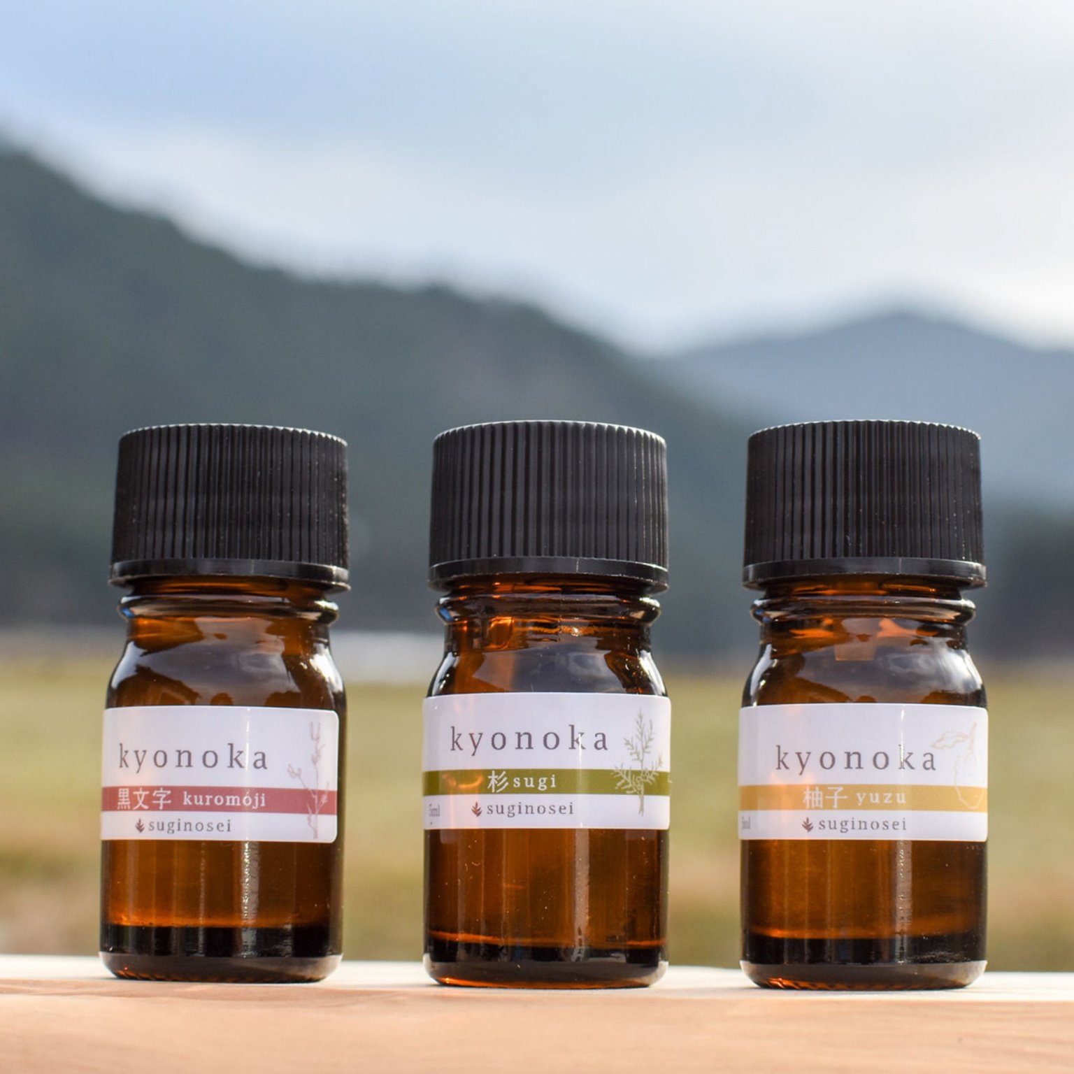 【大人】工房見学ツアーお支払い用チケット