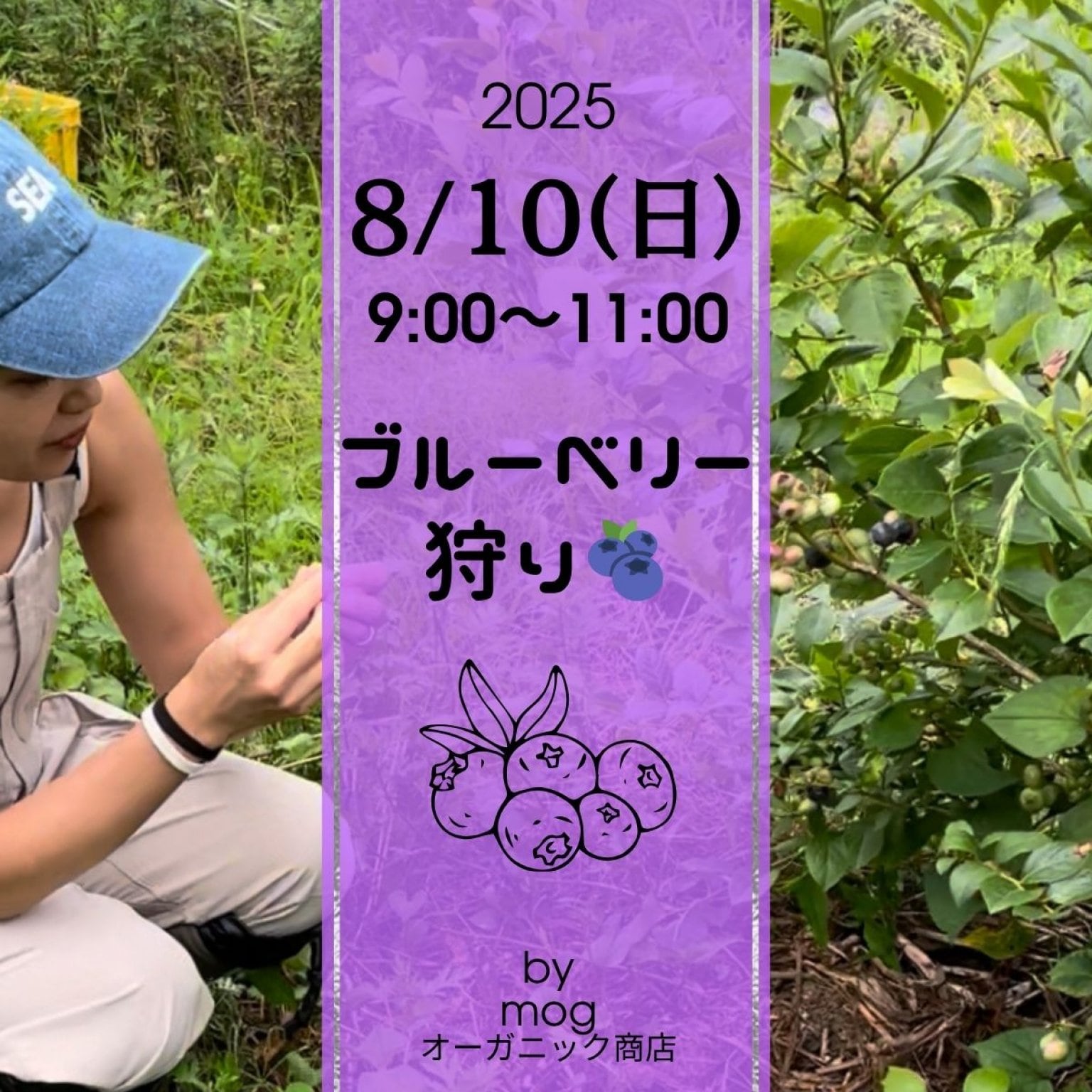 【8/10(日)】ブルーベリー狩り♡