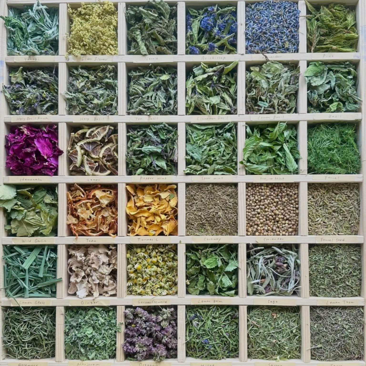 【2/3(火)】ハーブのてしごと「ハーブソルト・カレンデュラ軟膏づくり」