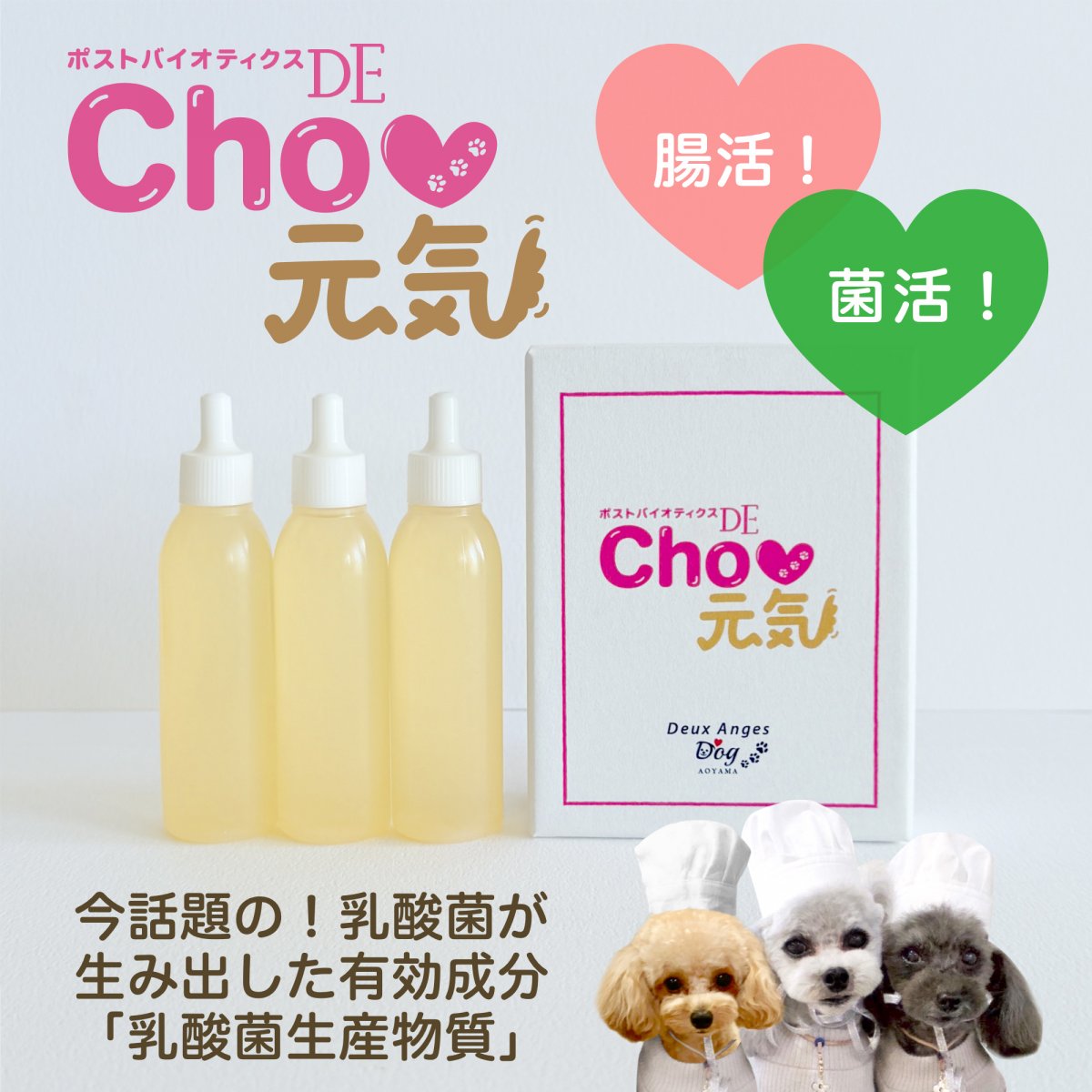 「ポストバイオティクスDE Cho元気」 3本入り / 75ml (25ml × 3本)/ 犬用・ペットフード