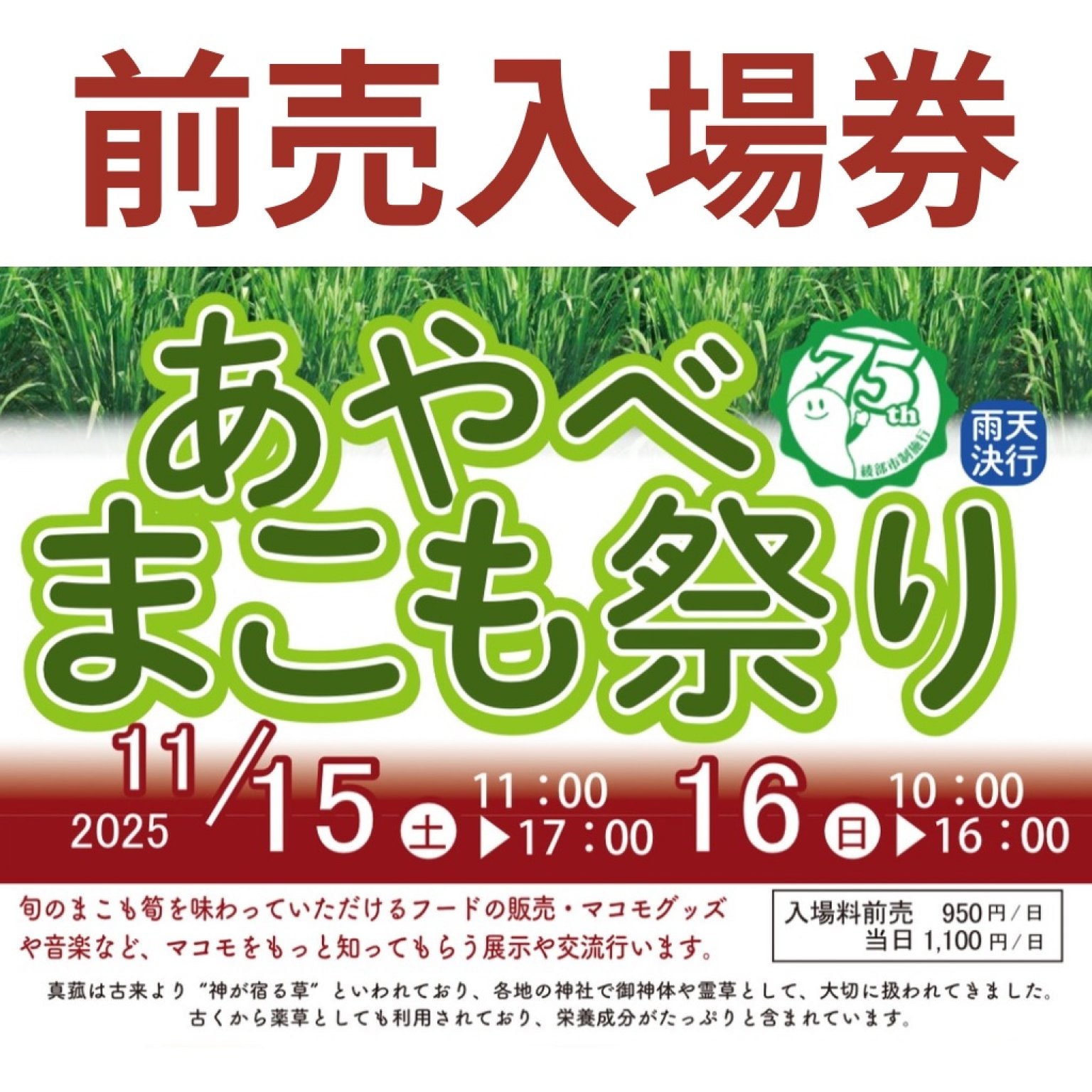 あやべまこも祭り【前売り】入場券