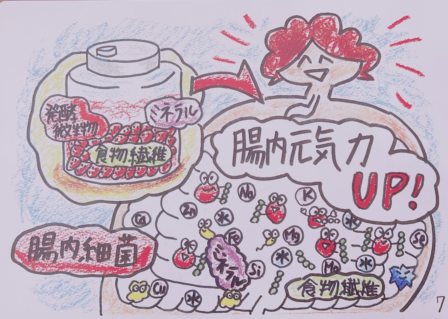 【6/13(金)開催】発酵ミネラルドリンクワークショップ