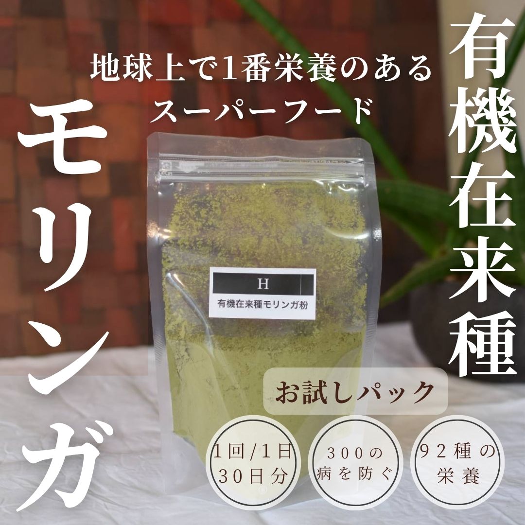 モリンガ　苗　無農薬　国産　長崎県産　スーパーフード　美容　健康　免疫力アップ モリンガ 苗 無農薬 国産 長崎県産 スーパーフード 美容 健康 免疫力アップ