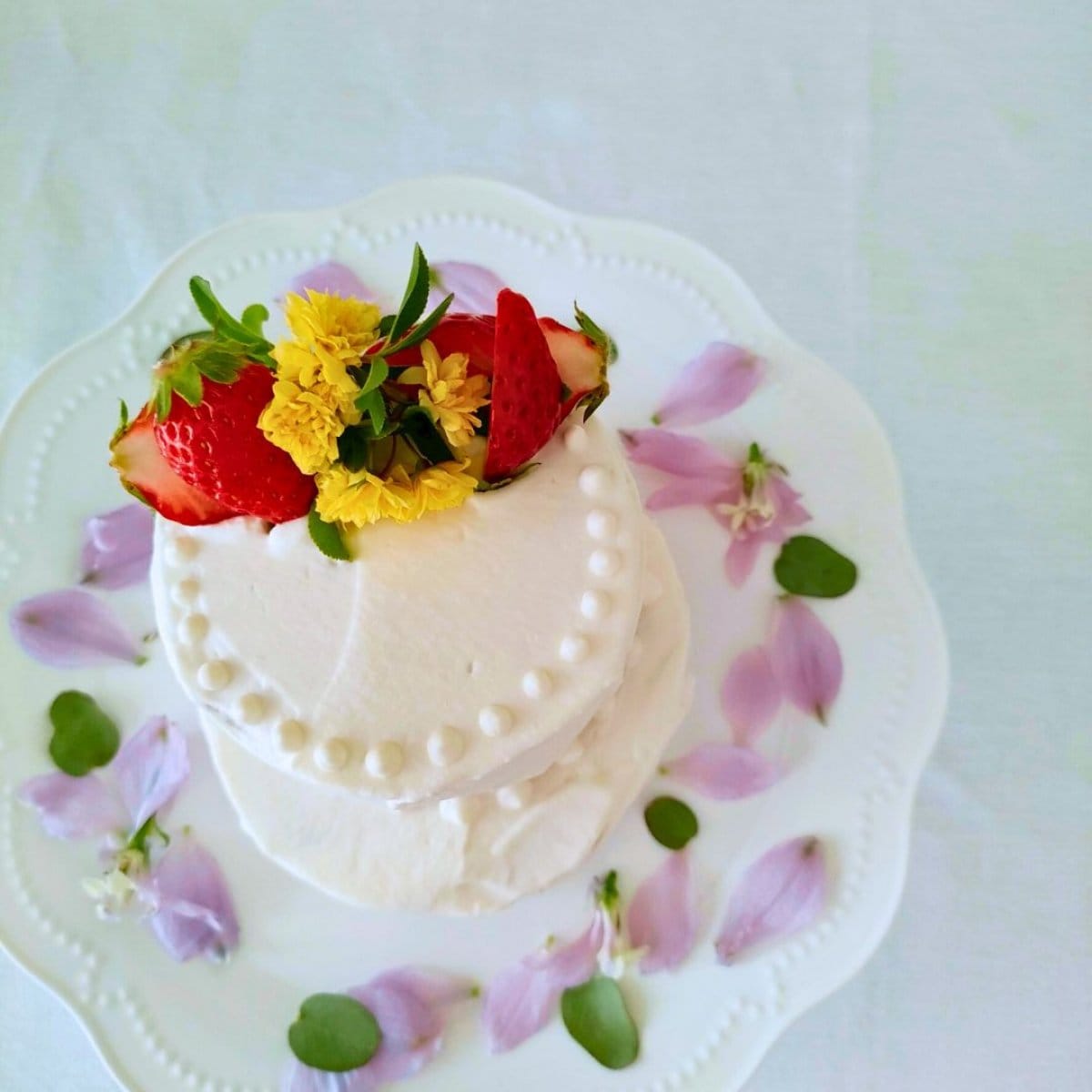 2袋セット　白砂糖不使用！小麦粉でも米粉でもない！穀物不使用　グルテンフリー　低糖質スポンジケーキミックス粉セット（12cm丸型1台×2回分）