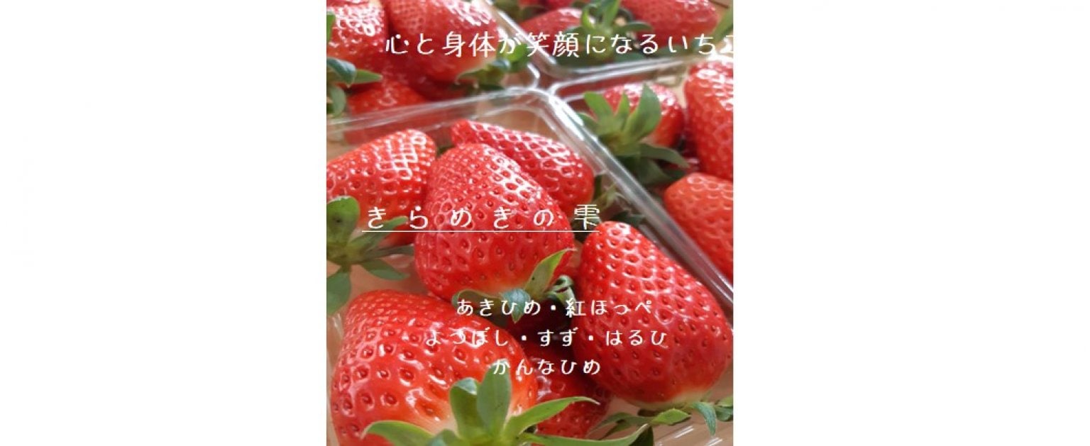 いちご狩り｜大人（中学生以上）