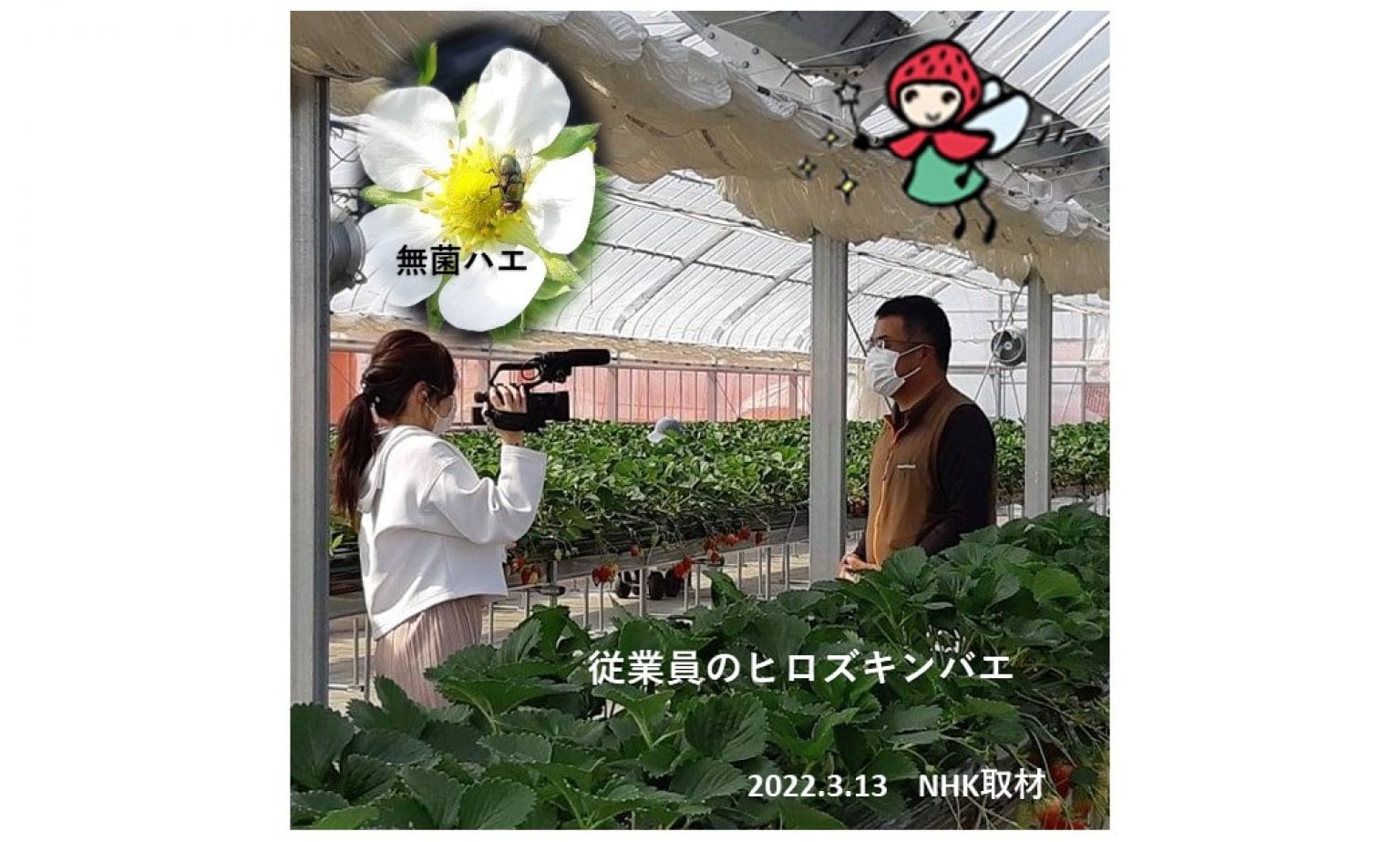 いちご狩り｜大人（中学生以上）