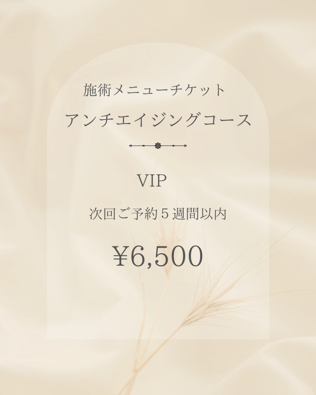 アンチエイジングコース　VIP　次回ご予約５週間以内