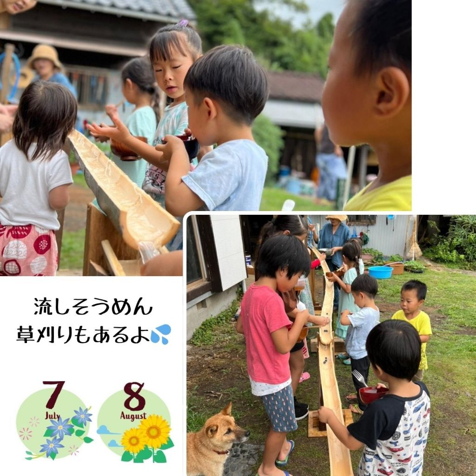 【午前中だけ】季節のガスなし農家生活体験 千葉県鋸南町 ワークショップ 田舎暮らし ファームステイ