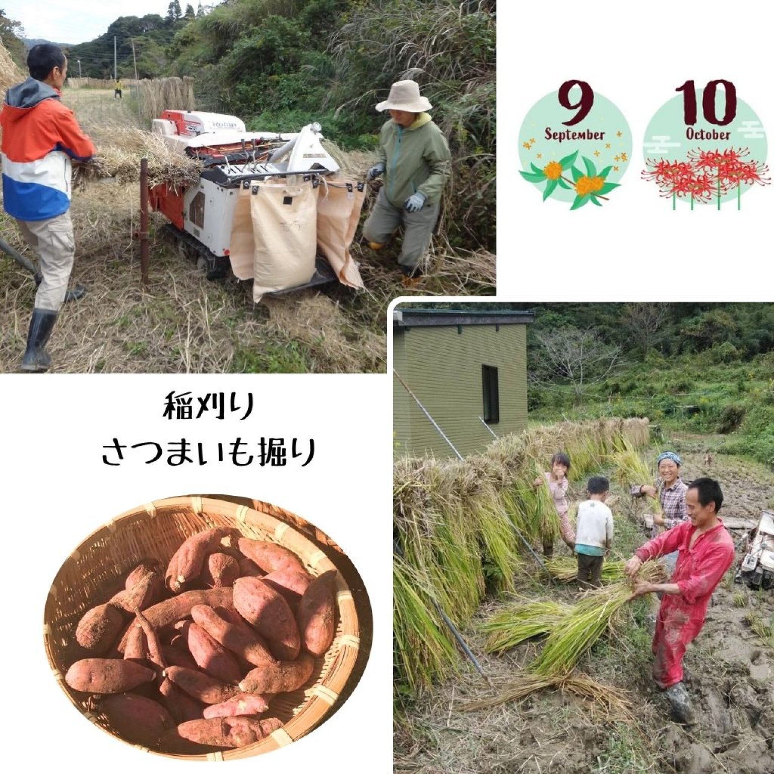【午前中だけ】季節のガスなし農家生活体験 千葉県鋸南町 ワークショップ 田舎暮らし ファームステイ