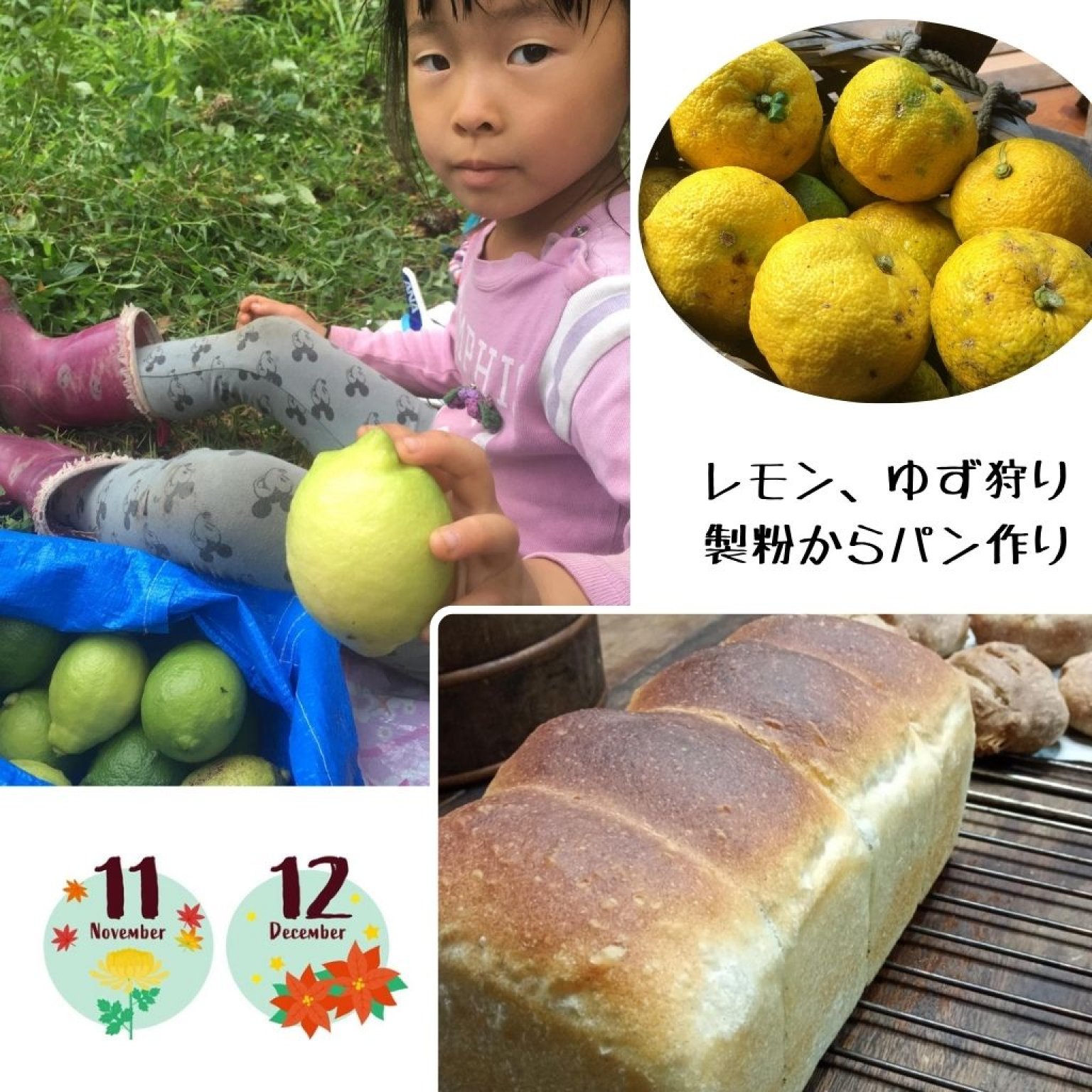 【午前中だけ】季節のガスなし農家生活体験 千葉県鋸南町 ワークショップ 田舎暮らし ファームステイ