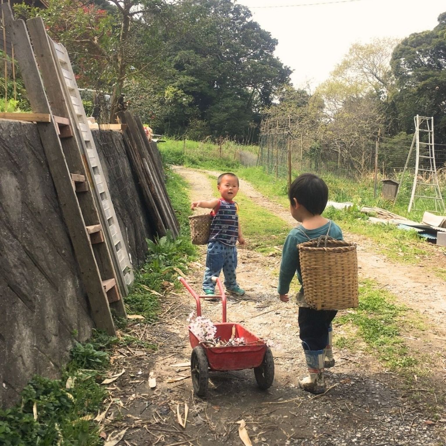 【午前中だけ】季節のガスなし農家生活体験 千葉県鋸南町 ワークショップ 田舎暮らし ファームステイ