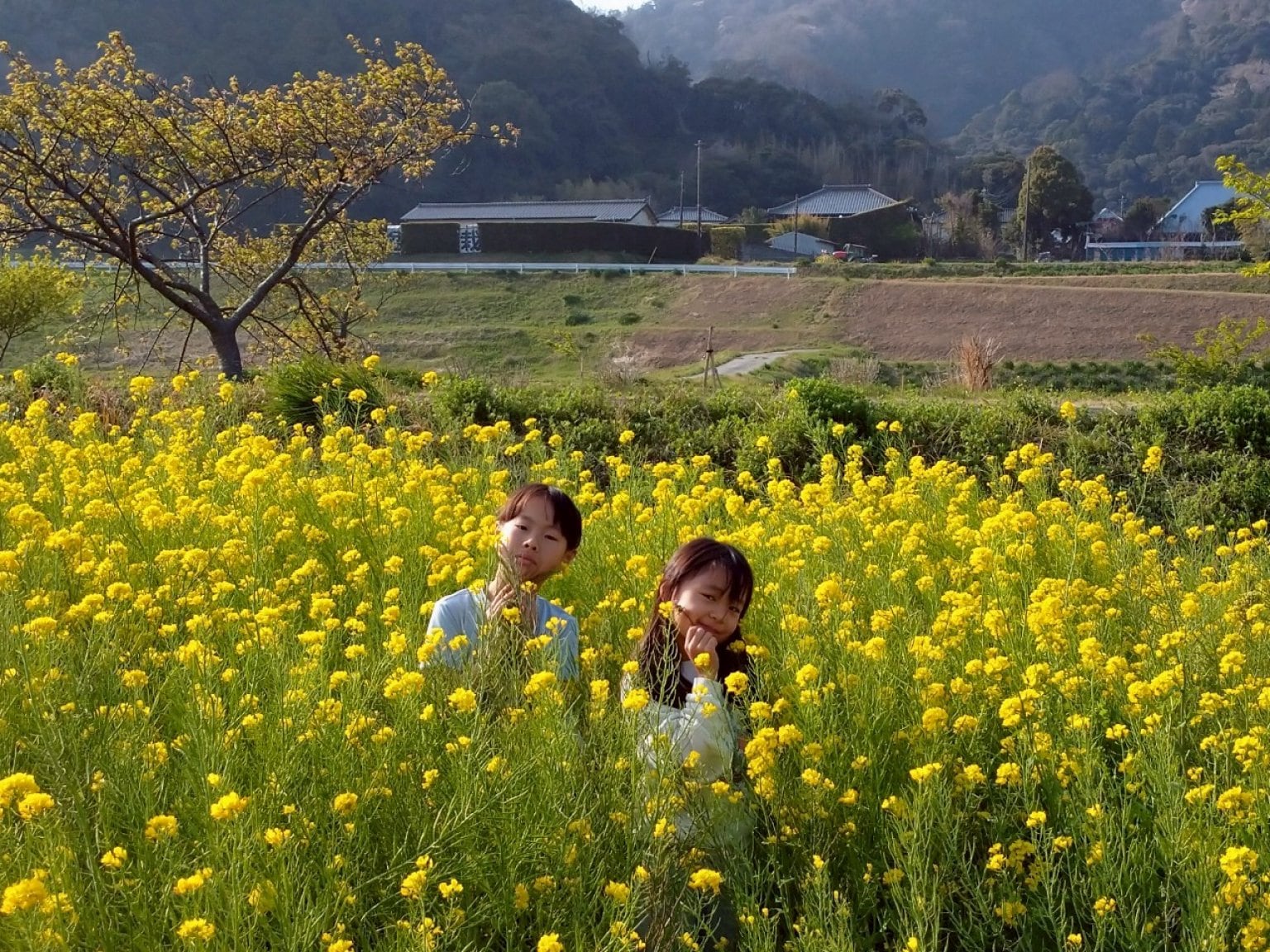 【1000円分】ゆず屋応援チケット 農作物おすそ分けthank youチケット 千葉県鋸南町 子ども4人 子だくさん応援 ガスなし生活