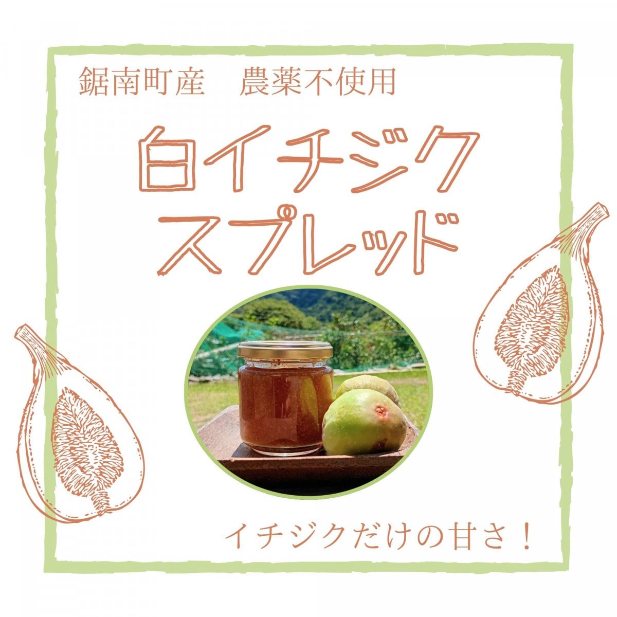 【高ポイント】白イチジクスプレッド 農薬不使用白イチジク バナーネ  砂糖不使用  千葉県鋸南町 週末農家ゆず屋 ヤマト60サイズ
