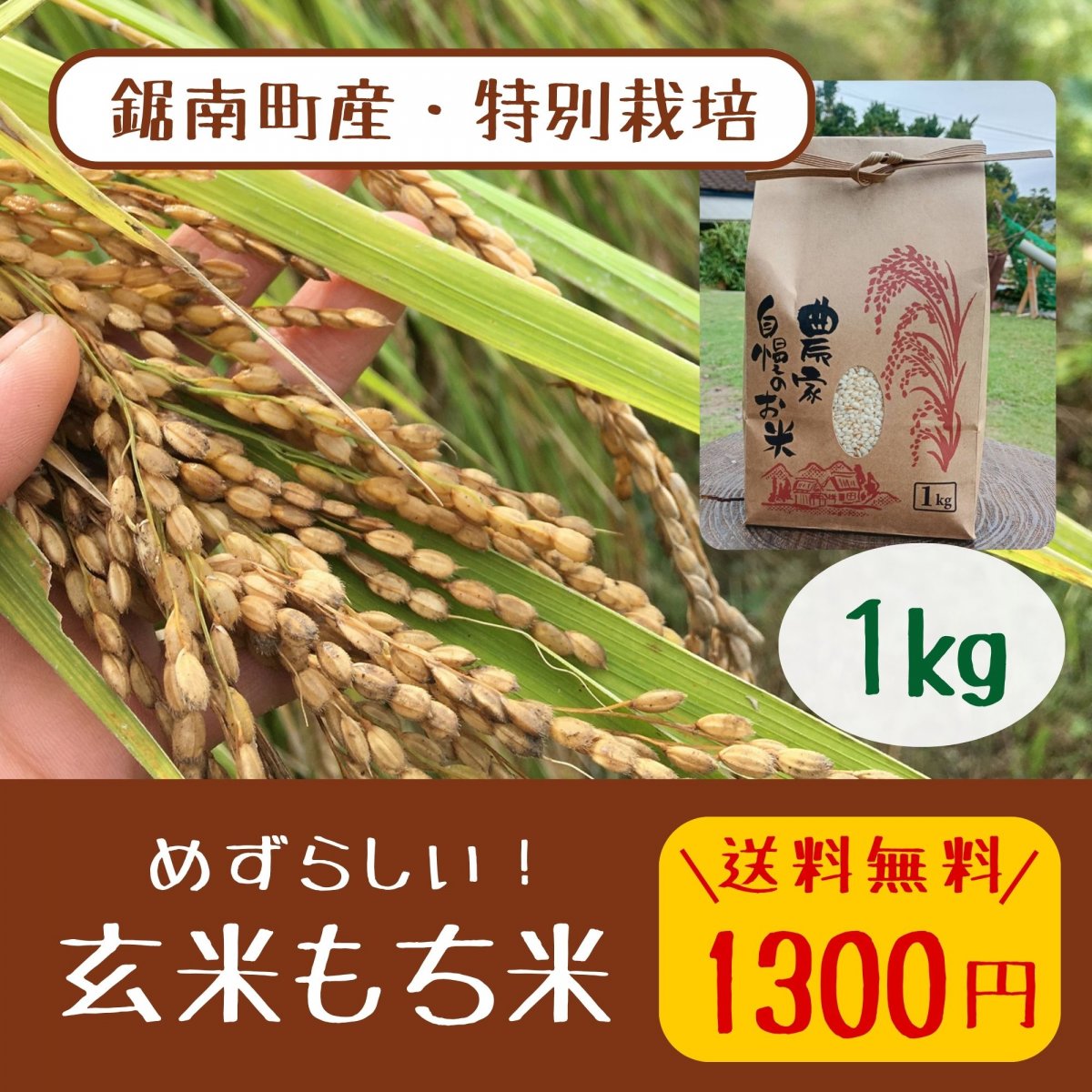 【送料無料】2024年度産 もち米 玄米 マンゲツモチ1㎏ 農薬を減らして栽培 プレゼント付き 千葉県鋸南町 週末農家ゆず屋 レターパックプラス