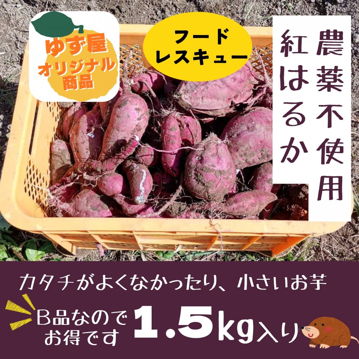 【高ポイント】【フードレスキュー】B品さつまいも 紅はるか 1.5㎏ 農薬不使用 有機肥料 千葉県鋸南町 週末農家ゆず屋 ヤマト60サイズ