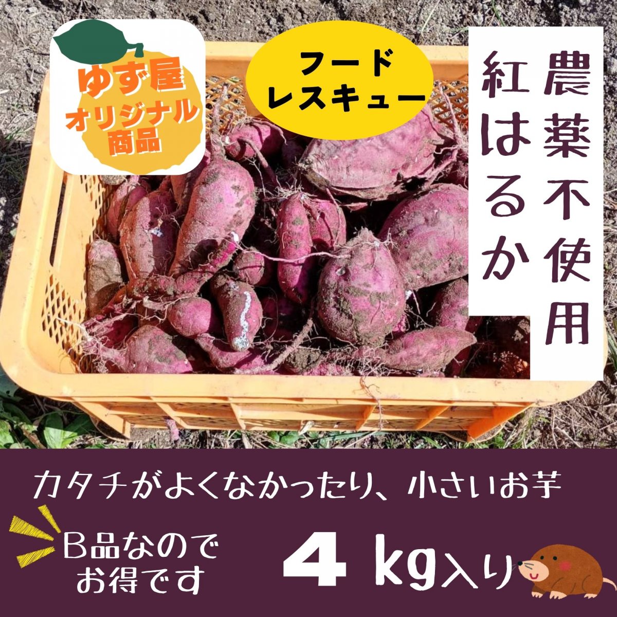 【高ポイント】【フードレスキュー】B品さつまいも 紅はるか ４㎏ 農薬不使用 有機肥料 千葉県鋸南町 週末農家ゆず屋 ヤマト80サイズ