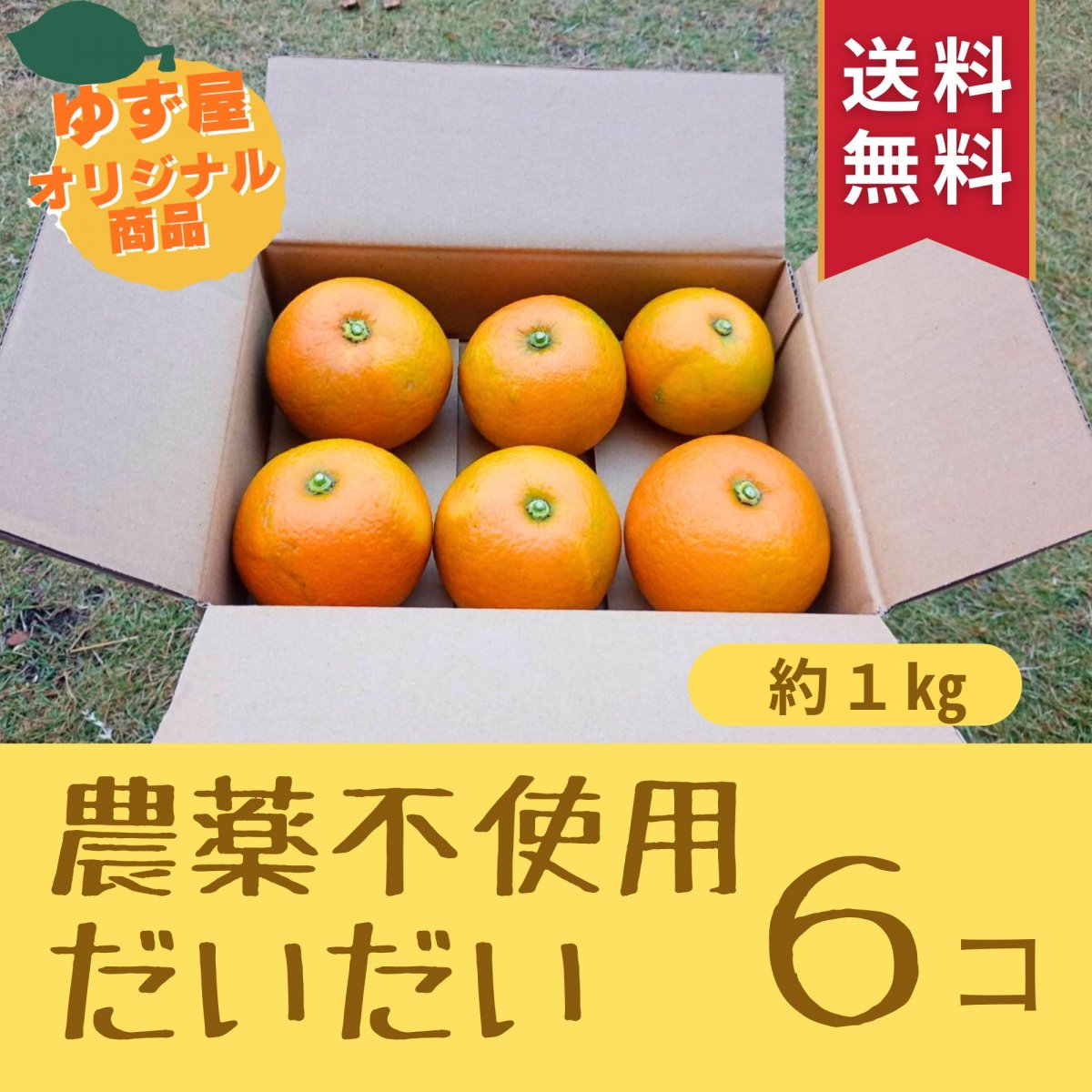 【高ポイント】【送料無料】農薬不使用だいだい ６コ 約１㎏ 橙  手作りポン酢に！  千葉県鋸南町産 週末農家ゆず屋 ヤマト60サイズ