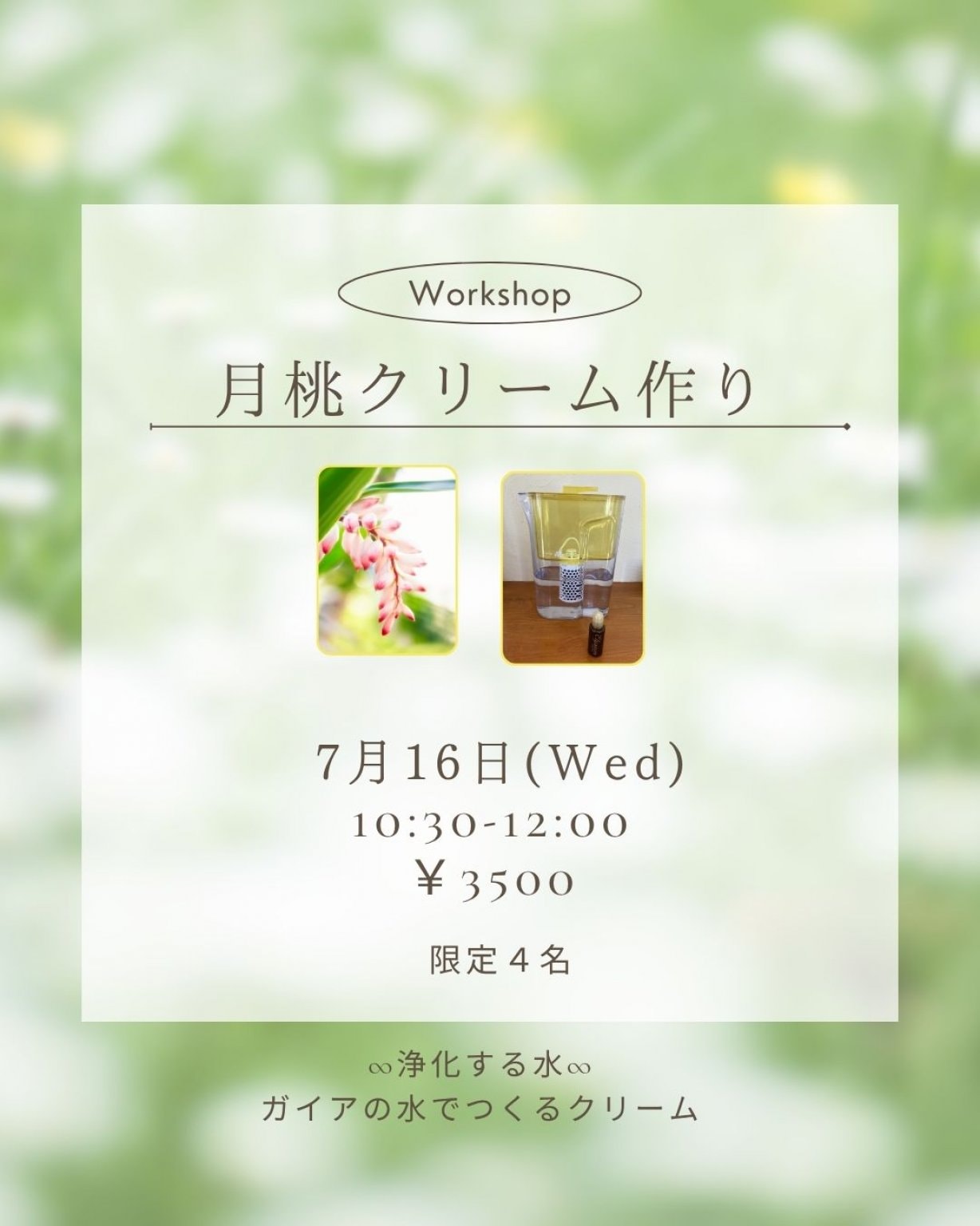月桃クリームづくり