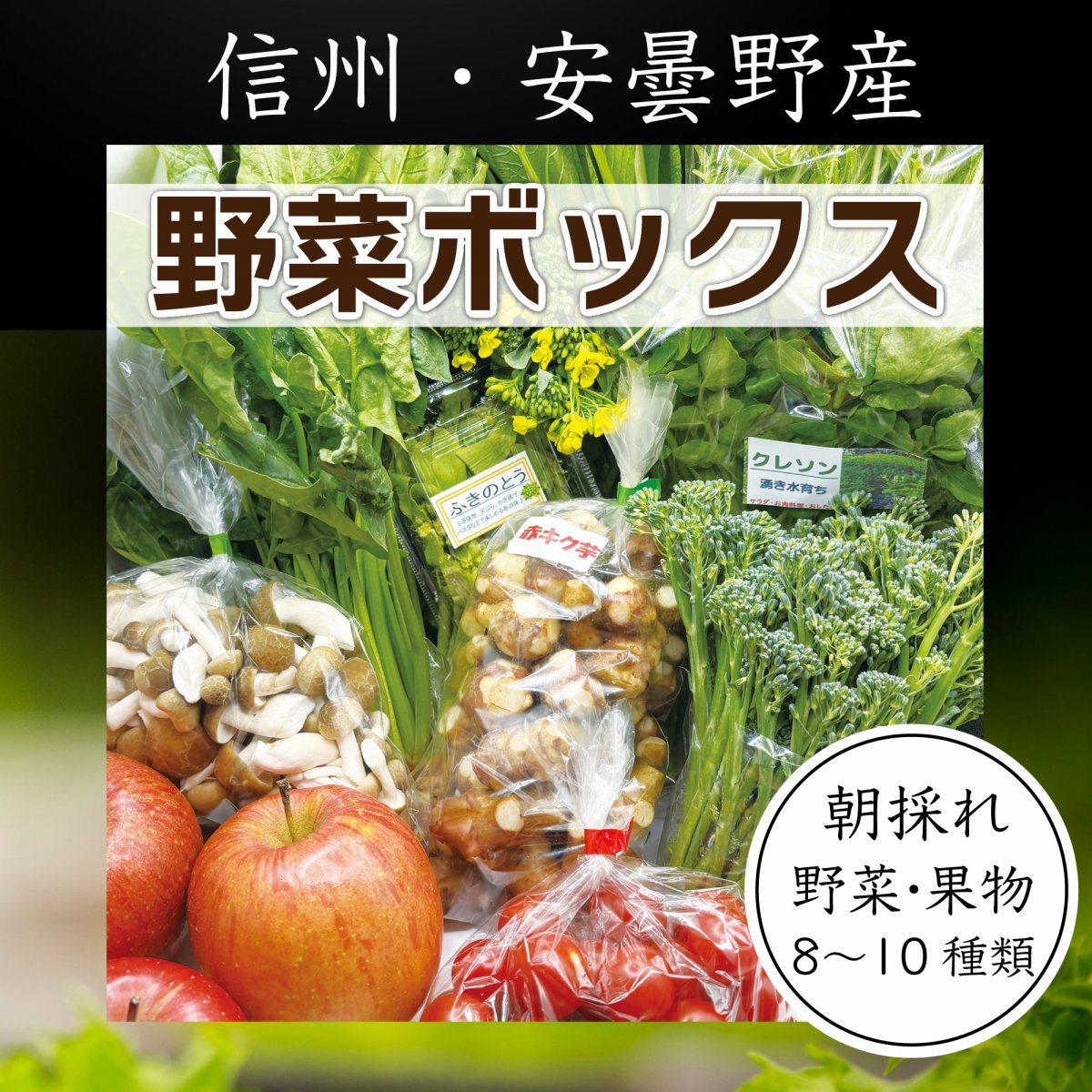 安曇野産朝採れ新鮮野菜【詰め合わせ】野菜ボックス/旬の野菜や果物8〜10種類。vif(ビフ)穂高自慢の農作物をお届けします。