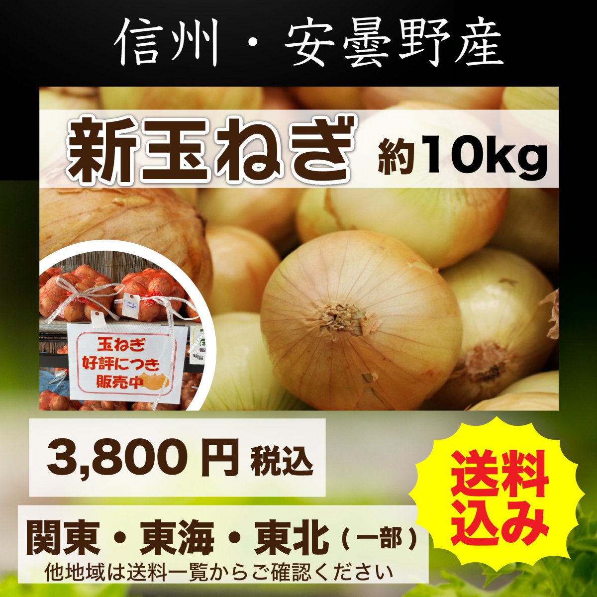 安曇野産【新玉ねぎ】ネオアース約10kg/農産物直売所vif(ビフ)穂高