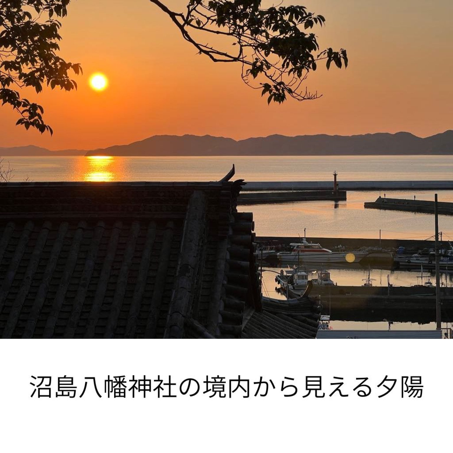 【11月23日・24日開催】沼島リトリート 〜魂の約束を思い出し、神々に誓う2日間〜
