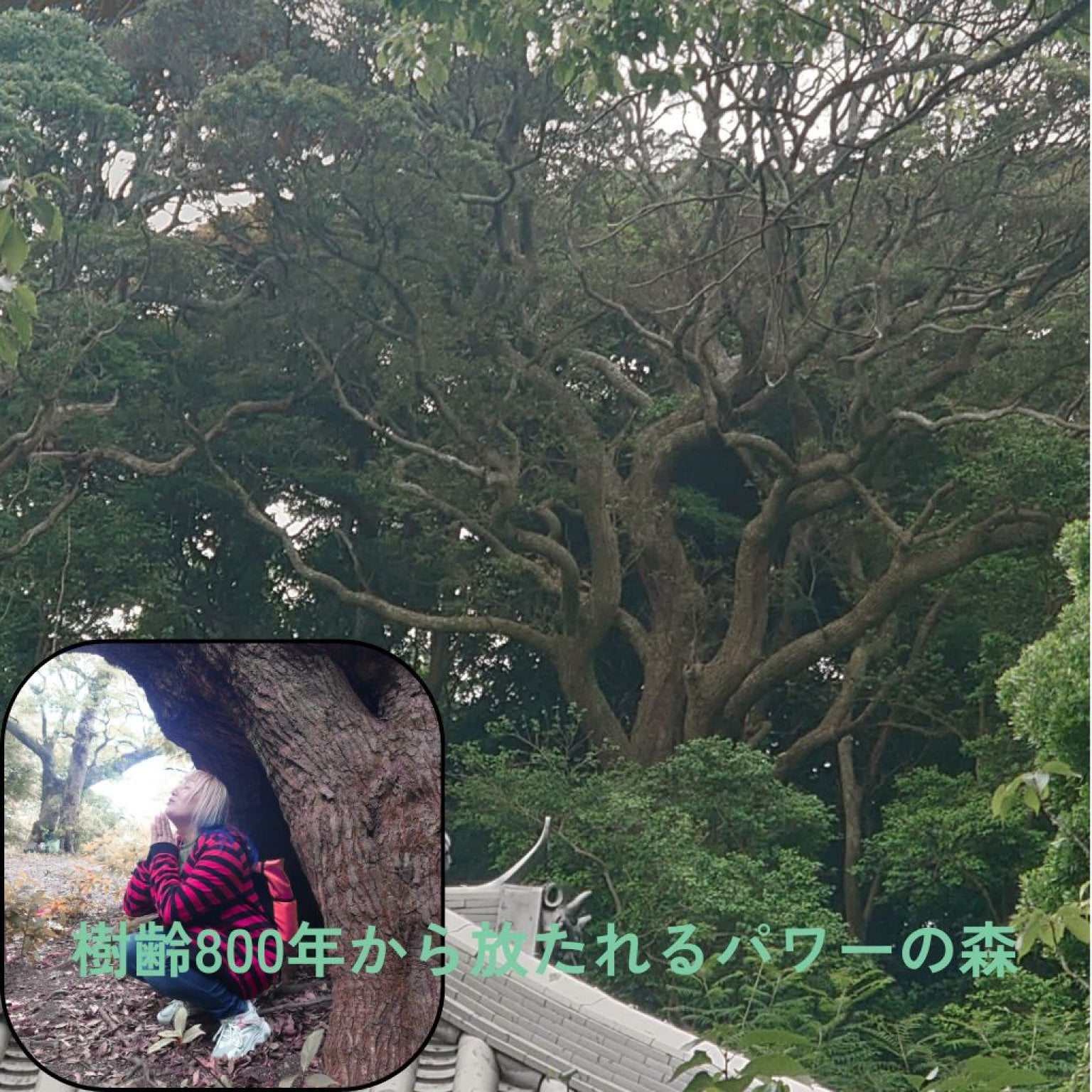 【11月23日・24日開催】沼島リトリート 〜魂の約束を思い出し、神々に誓う2日間〜