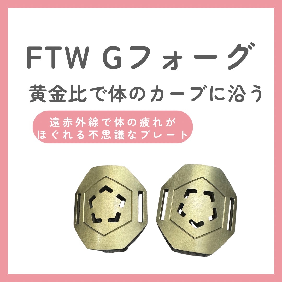 フィオーラ　FTW ビューラプレート　Gフォーグ フィオーラFTW ビューラプレートGフォーグ
