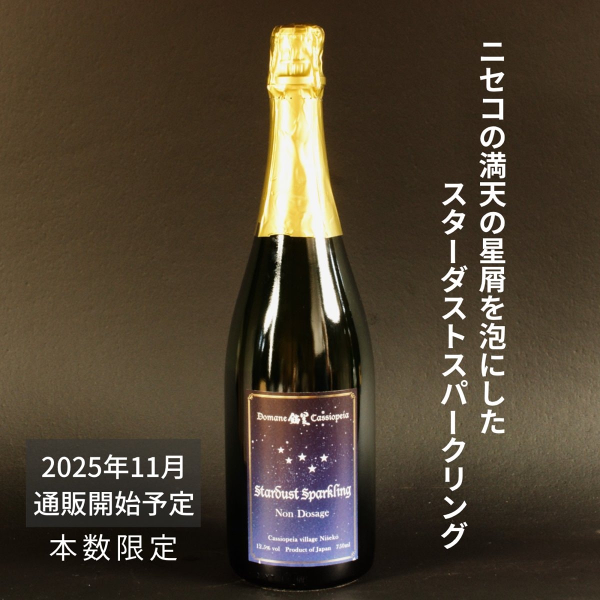 ビンテージ 2011年 140本限定スパークリング 安心院ワイン