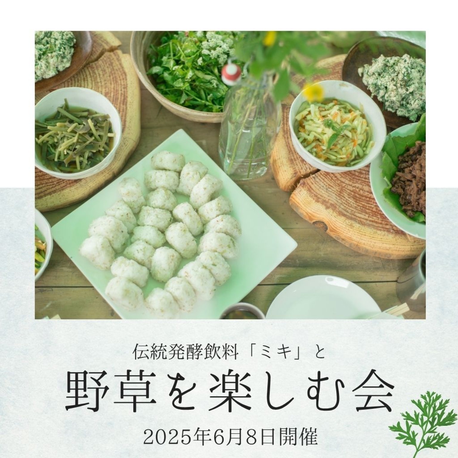 七飯の野草を楽しむ会