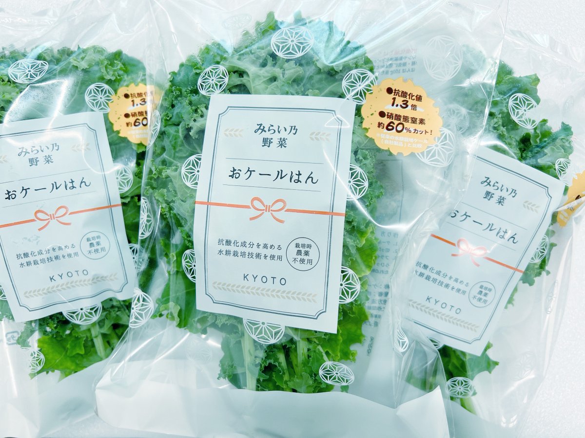 YASAI みらい乃野菜 高抗酸化値野菜