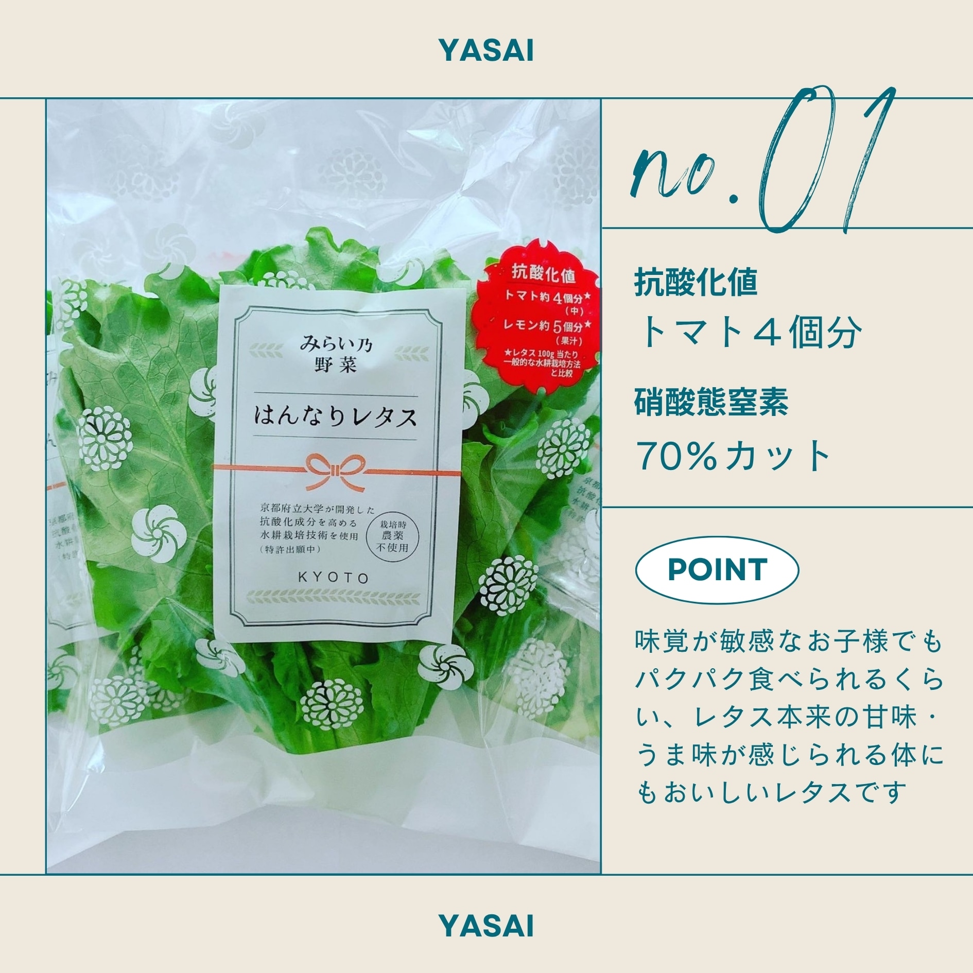 みらい乃野菜 はんなりレタス おケールはん 3袋ずつ 計6袋セット