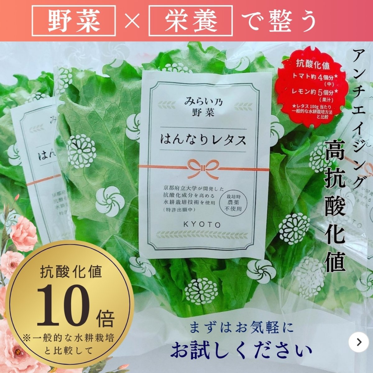 YASAI みらい乃野菜 高抗酸化値 低硝酸態窒素