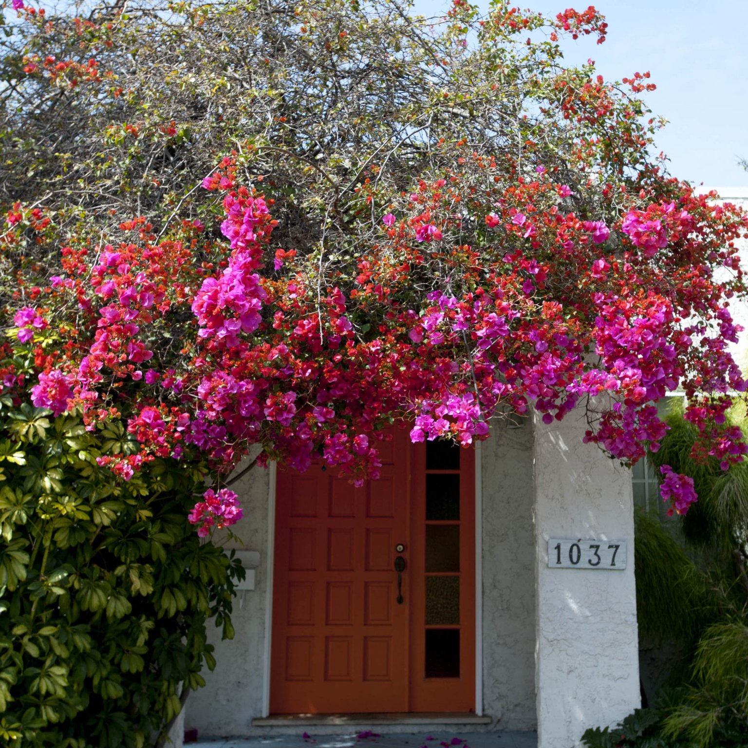 店舗 内観外観 撮影