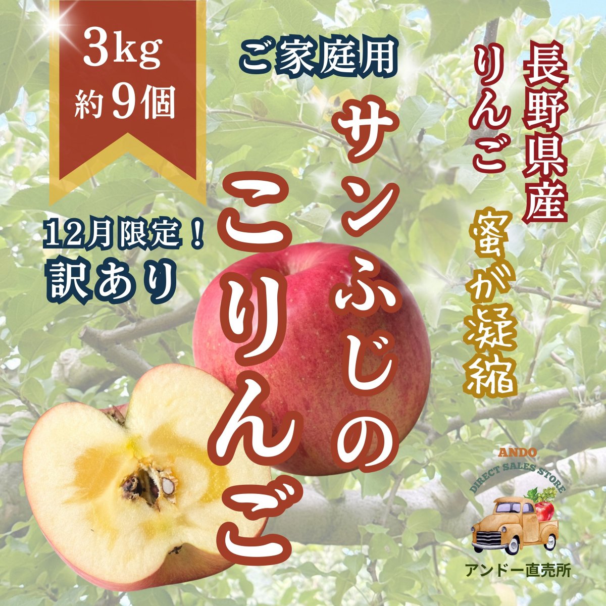 サンふじのこりんご/自宅用【3kg／約9個】減農薬　長野県長野市産りんご